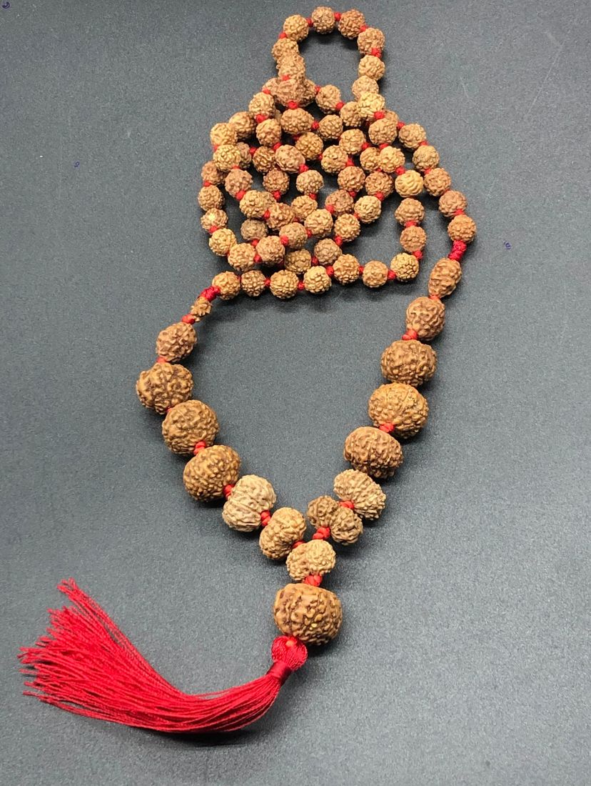 Rudraksha Siddh Mala 1 - 14 Rudraksha ( Indonesian )