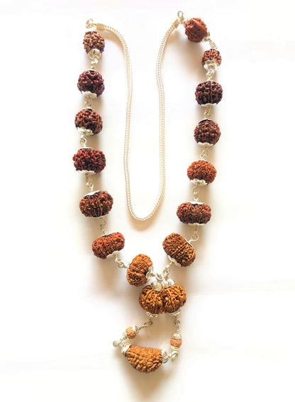 Rudraksha Siddh Mala 1 - 14 Rudraksha ( Nepal )