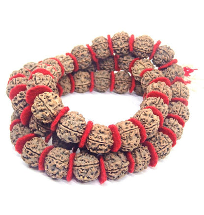 5 Mukhi Natural Rudraksh Kantha Mala